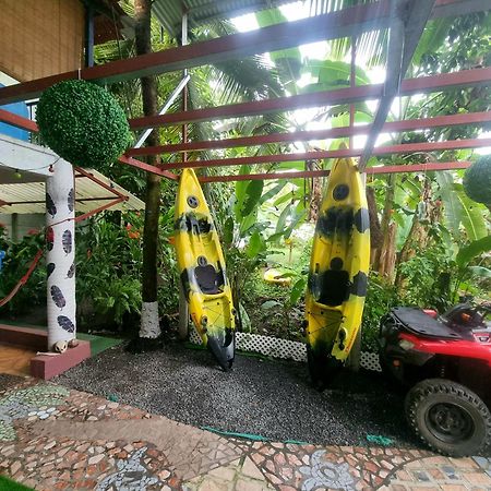 Wildlife Art Tortuguero Hotel Buitenkant foto