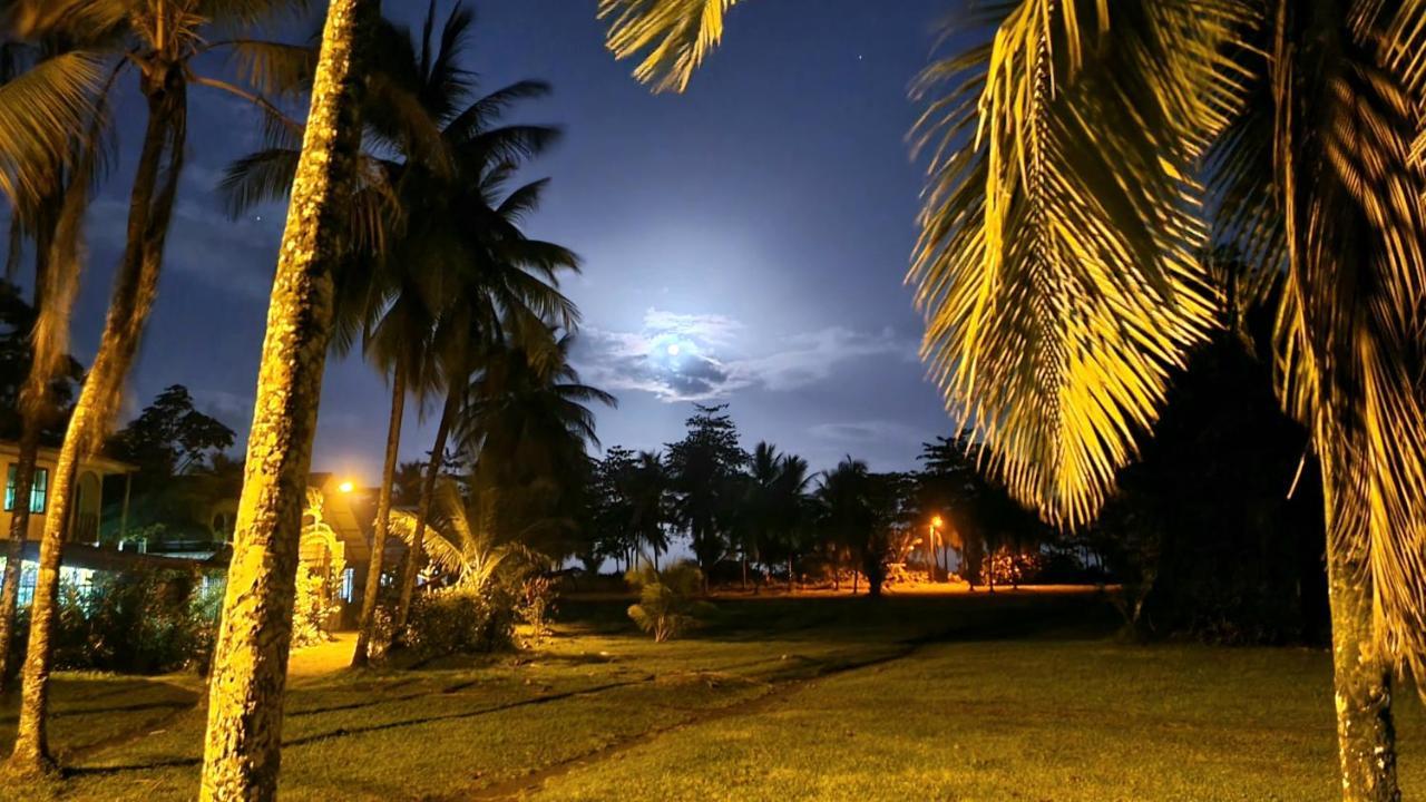 Wildlife Art Tortuguero Hotel Buitenkant foto