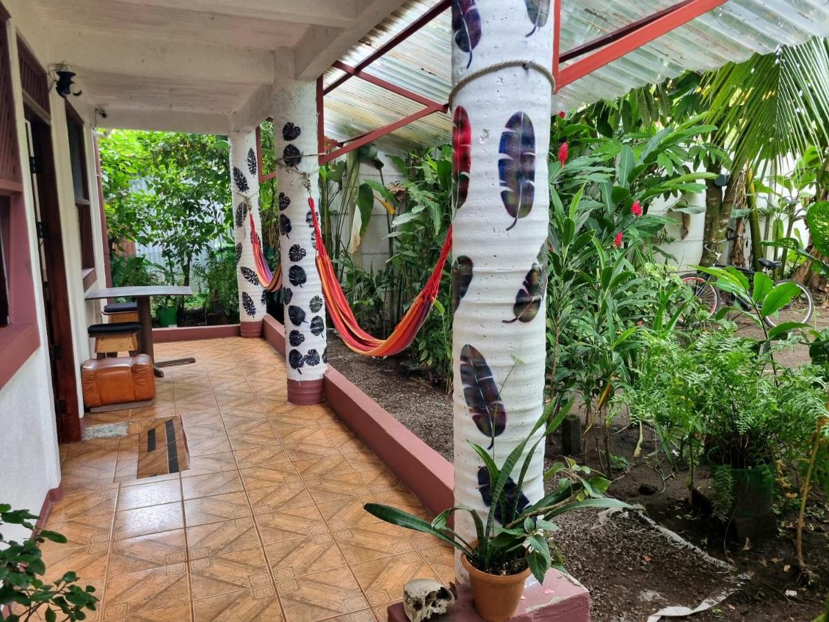 Wildlife Art Tortuguero Hotel Buitenkant foto