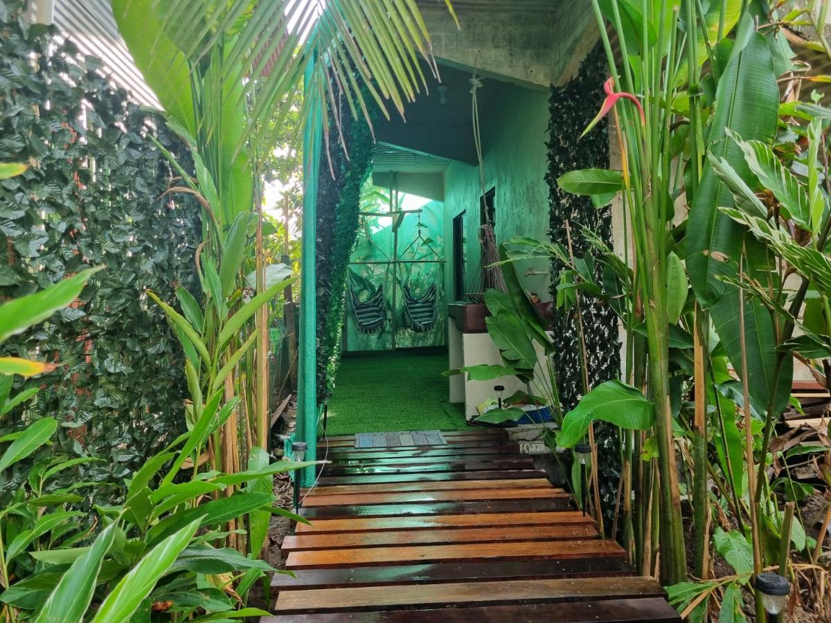 Wildlife Art Tortuguero Hotel Buitenkant foto