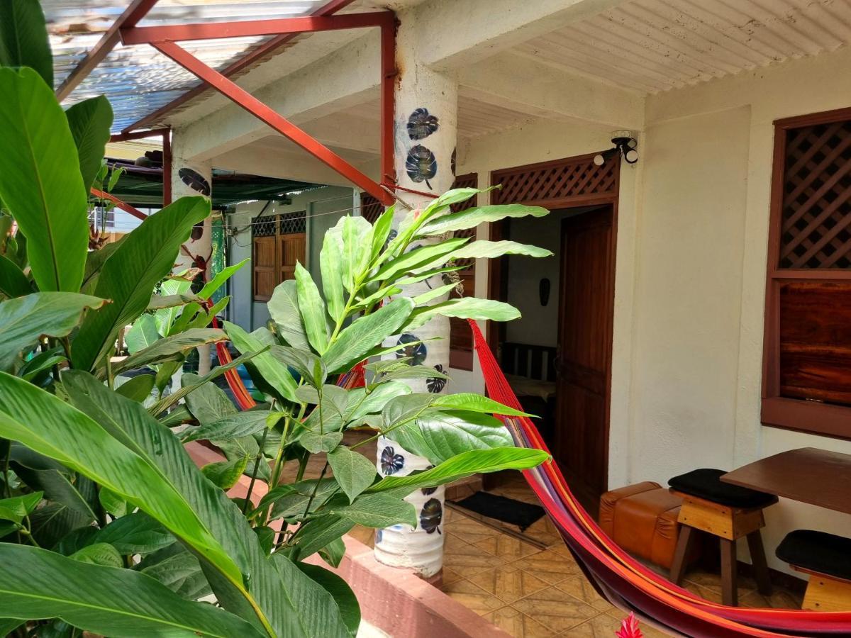 Wildlife Art Tortuguero Hotel Buitenkant foto