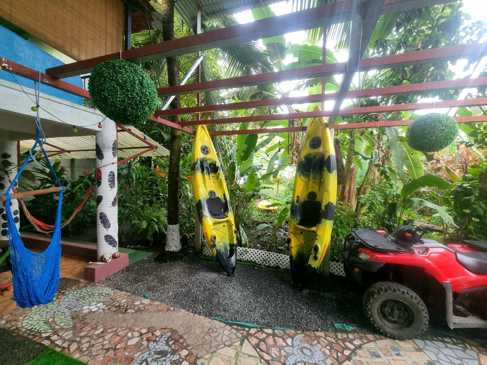 Wildlife Art Tortuguero Hotel Buitenkant foto