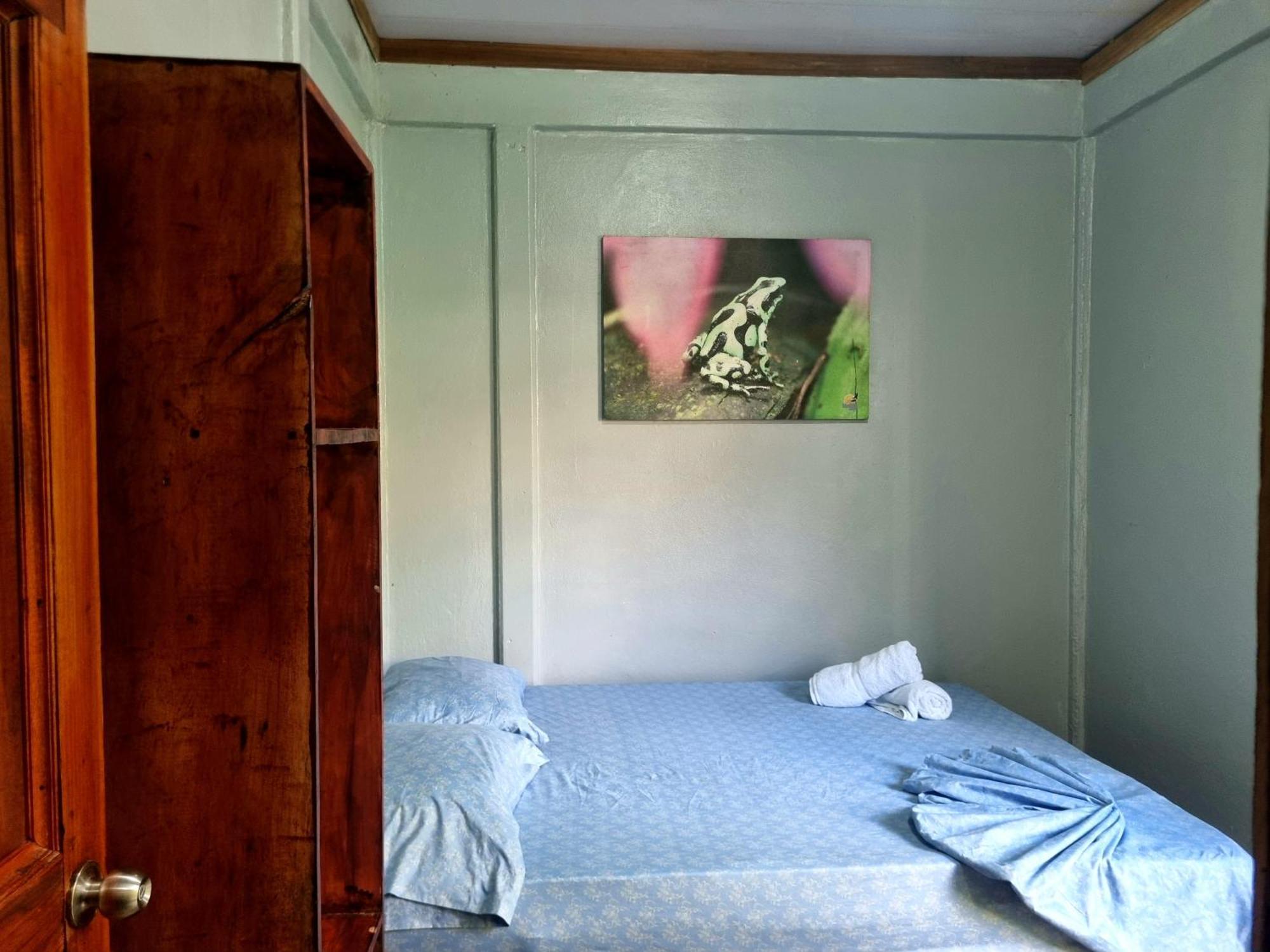 Wildlife Art Tortuguero Hotel Buitenkant foto