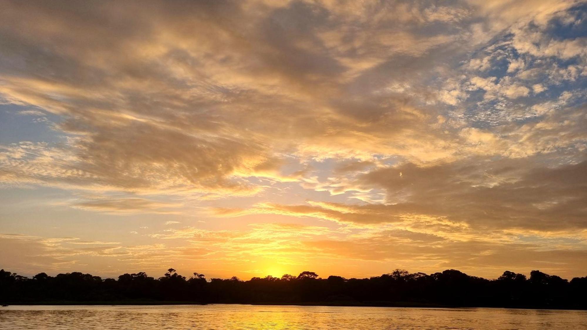 Wildlife Art Tortuguero Hotel Buitenkant foto