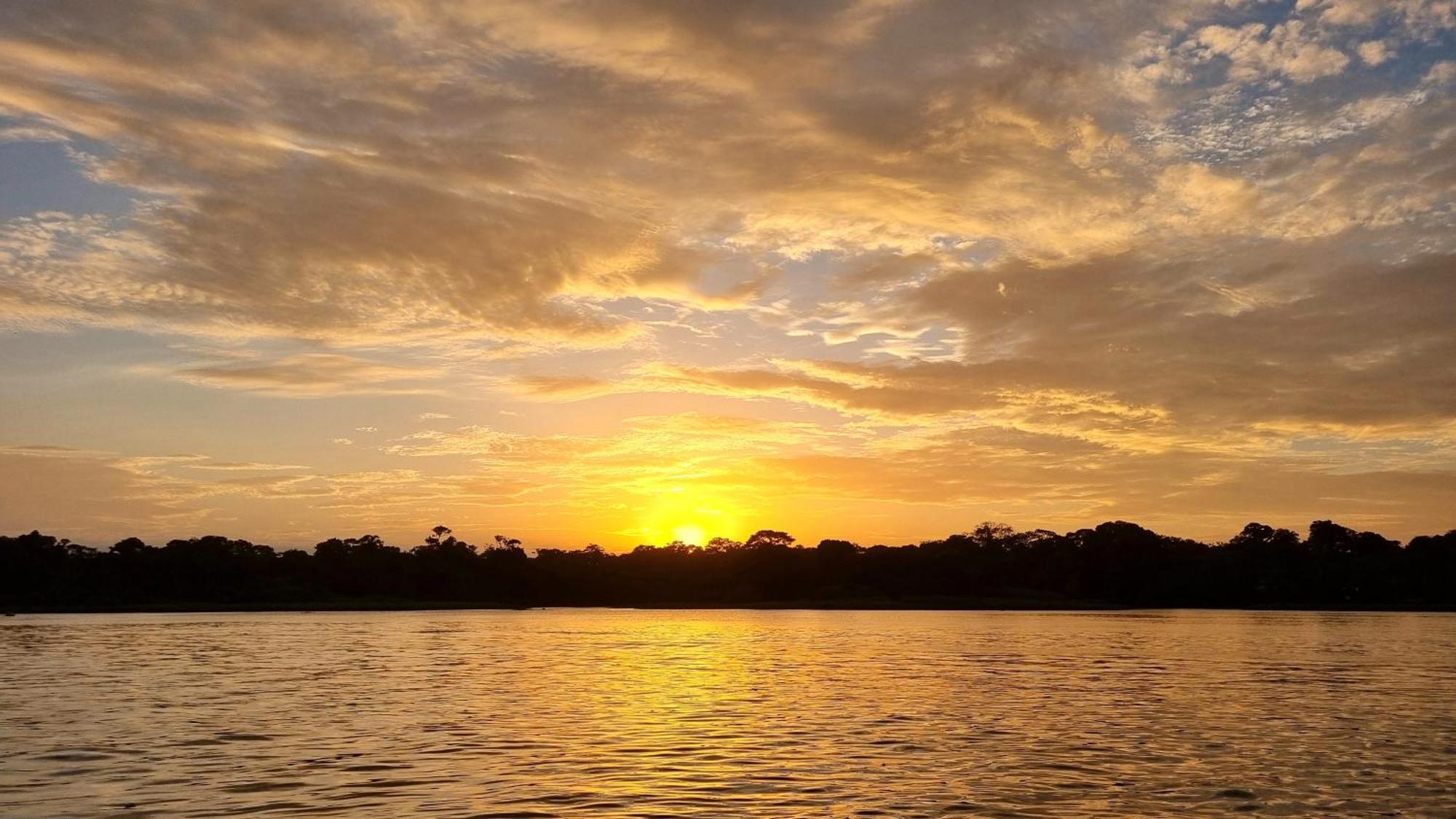 Wildlife Art Tortuguero Hotel Buitenkant foto