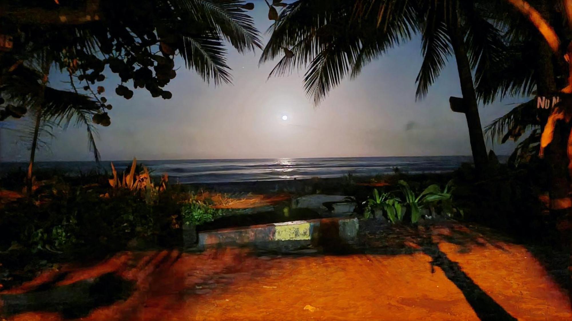 Wildlife Art Tortuguero Hotel Buitenkant foto