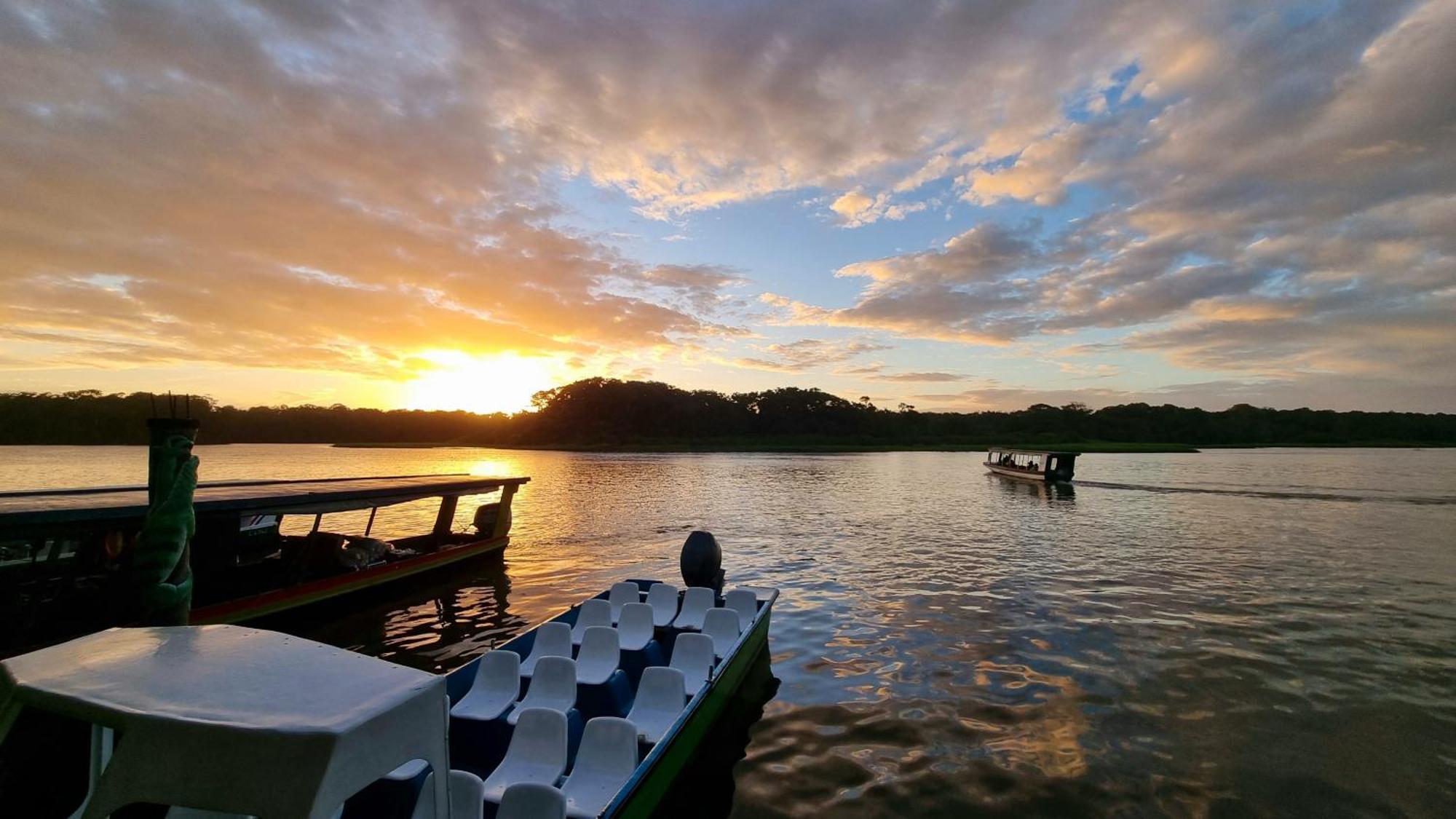 Wildlife Art Tortuguero Hotel Buitenkant foto