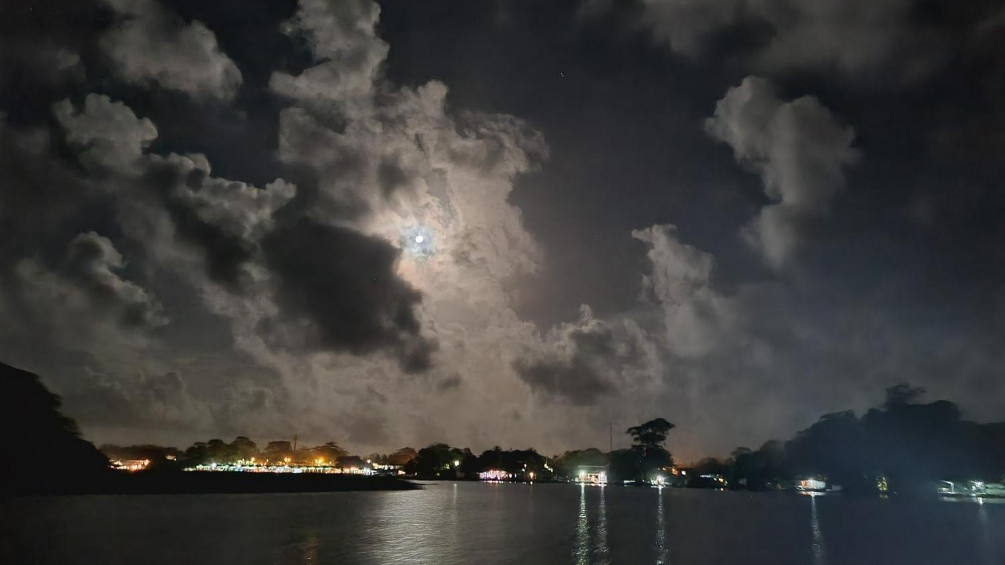 Wildlife Art Tortuguero Hotel Buitenkant foto