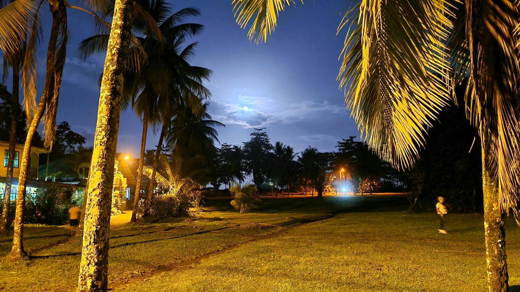 Wildlife Art Tortuguero Hotel Buitenkant foto